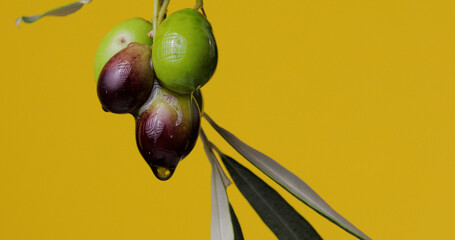 Olive con goccia di olio e sfondo giallo