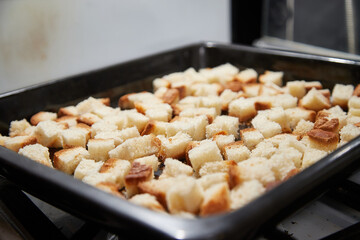 Square toasted pieces of homemade delicious rusk, hardtack, Dryasdust, zwieback on a baking sheet.