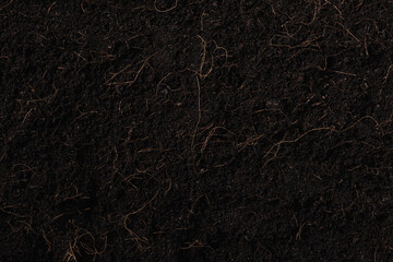 Fototapeta na wymiar Black land for plant background, Top view of Fresh soil with mulch for gardening texture, World Soil Day concept