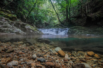 水面からの風景