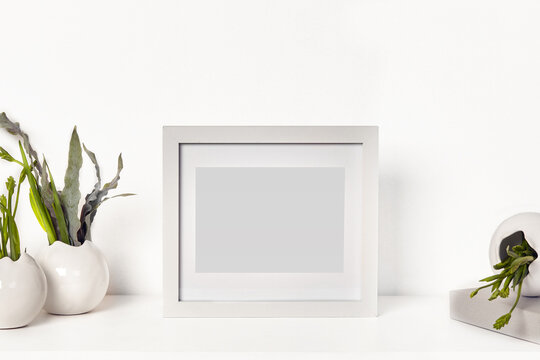 Square simple blank photo frame on tabletop surrounded by vases with green plants or flowers, isolated on white. Close up, copy space