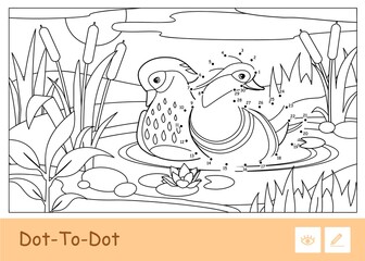 Colorless vector contour dot-to-dot illustration with a mandarin ducks floating on a forest river near reeds and water lilies. Birds preschool kids coloring book illustrations