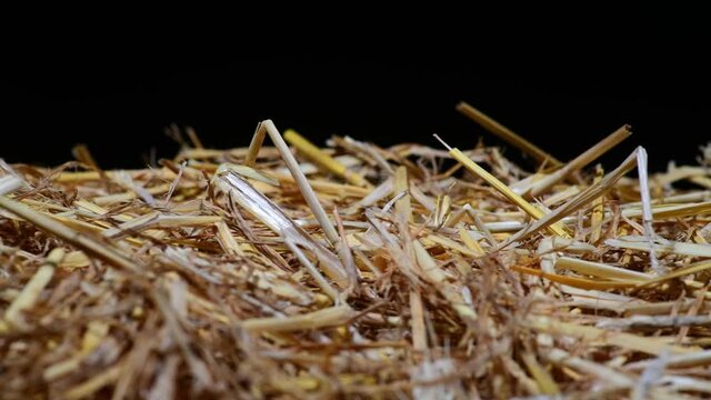 parallel tracking over a bunch of straw as border, isolated with black background