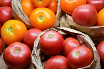 Tomatoes summer harvest. Village garden harvest. Tomato from farmers market. Fresh red and yellow tomatoes. Organic vegetables.