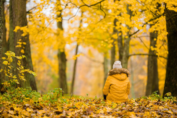 One young adult woman sitting on yellow fallen leaves between trees in forest. Golden autumn day. Spending time alone in nature. Peaceful atmosphere. Back view.