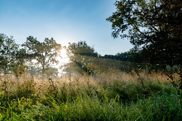 Obraz premium country in the sun