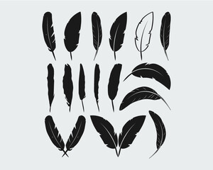 Feather Symbol Icon vector illustration