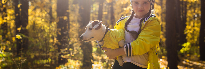 Child playing in autumn park with a jack russell terrier. Kid and jack russell terrier dog.