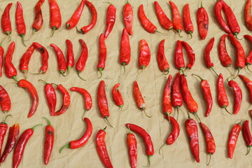 屋外に干されている唐辛子（韓国）