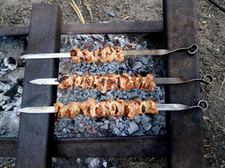 Pork shashlik grilled on charcoal in the country