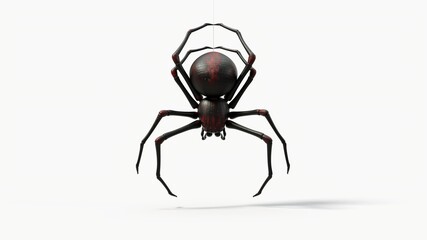 hanging black spider. with red skin details. suitable for horror, halloween, arachnid and insect themes. 3d illustration, front view - obrazy, fototapety, plakaty