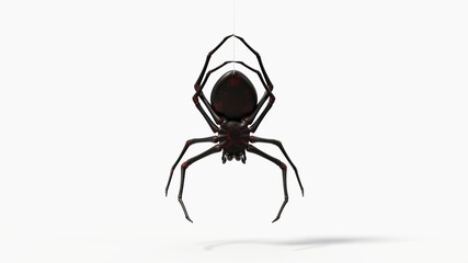hanging black spider. with red skin details. suitable for horror, halloween, arachnid and insect themes. 3d illustration, backside view