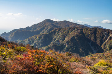 釈迦ヶ岳へと続く紅葉シーズンの鈴鹿縦走路