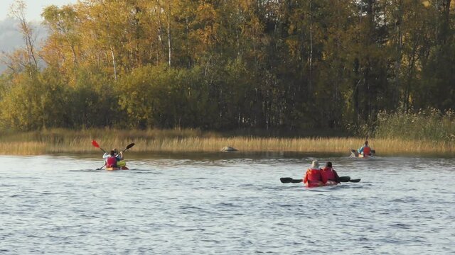 A group of canoeists on a calm lake