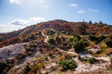 紅葉に色づく鈴鹿山脈、釈迦ヶ岳から竜ヶ岳の尾根道を歩いて