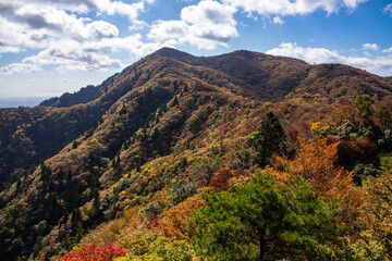 Naklejka premium 紅葉に色づく鈴鹿山脈、釈迦ヶ岳から竜ヶ岳の尾根道を歩いて