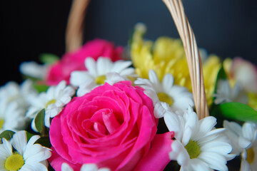 Gift bouquet of flowers in a wicker basket with a handle on a dark background.