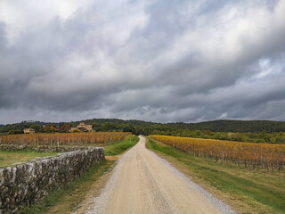 Fototapeta na wymiar Strada bianca nel chianti nella campagna toscana, tra vigne e boschi