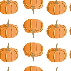 Pumpkin seamless background. Vector illustration isolated on white background.
