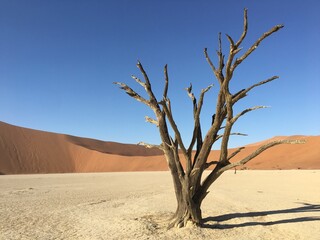 Death Valley - Namibia