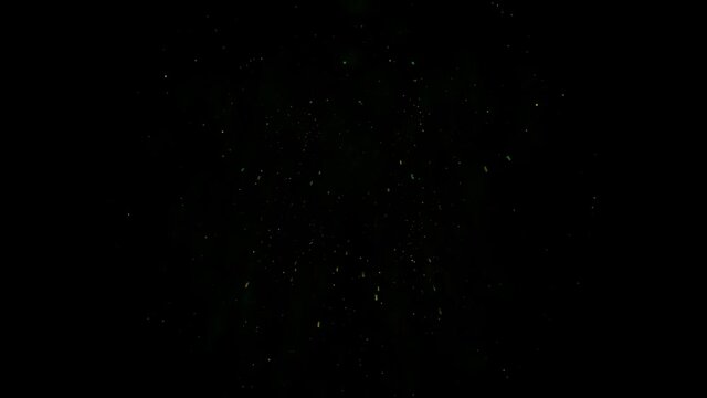 Gold explosion display in the sky at night. Seamless loop animation fireworks background for birthday, anniversary, celebration, holiday, new year, party, event and celebrations, invitation
