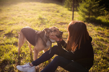 girl squeezes a dog in the park on a sunny evening, a young girl plays with her pet, scratches the dog's neck while sitting on the lawn
