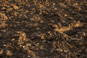 Acker im Sonnenuntergang