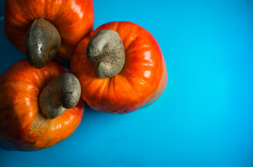 orange and blue