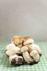 A bunch of porcini mushrooms on a green checkered background. Autumn gifts. Vertical orientation. Copy space.
