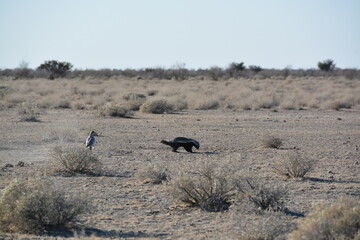 Namibia