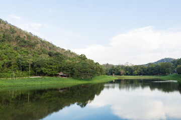 Fototapeta na wymiar Selective focus.Selective focus.Khao Ruak Reservoir at Namtok Samlan National Park in Saraburi Thailand is a reservoir that tourists come to relax 