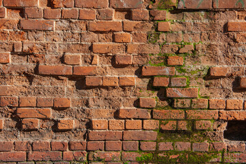 xture, background. Old red brick wall, in the rain, destroyed by time