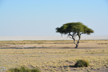 Namibia