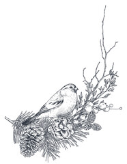 Vector template for Christmas greeting card or invitation with hand drawn winter plants, pine cones, bird.