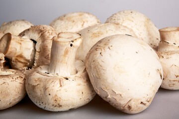 mushrooms on the table