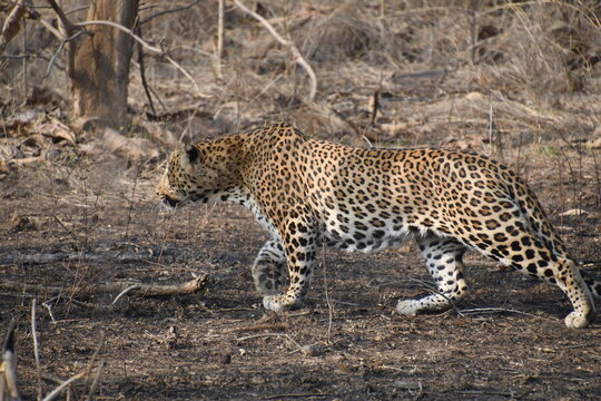 Panna National Park, Khajuraho, Waranasi