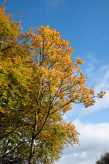  Killykeen Forest Park