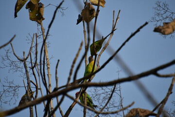 Panna National Park
