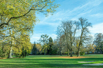 Obraz premium old historic Kurpark in Bad Homburg in autumn colors,
