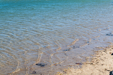 Water ripples on the shore. Calm and colorful beach background, peaceful waves.