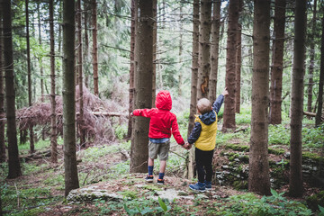 Obraz premium Two children together by the hand in the forest - Two brothers walking in the forest on the pathway, siblings hold hands, back view