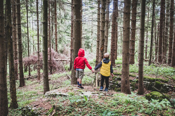 Naklejka na ściany i meble Two children together by the hand in the forest - Two brothers walking in the forest on the pathway, siblings hold hands, back view