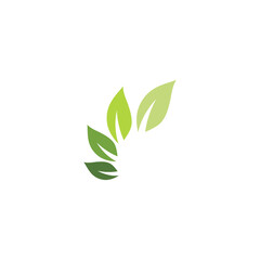Leaf  ecology Logo Template vector