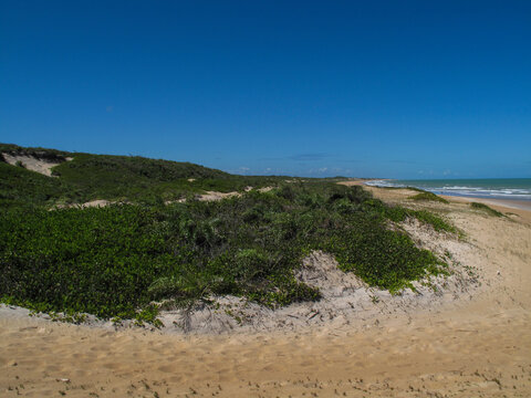 beach and sea