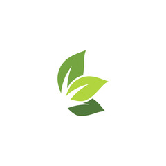 Leaf  ecology Logo Template vector