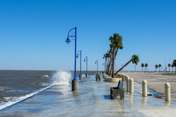 Waves on Lake Pontchartrain and Leaning Palm Tree in New Orleans Following Hurricane Zeta 
