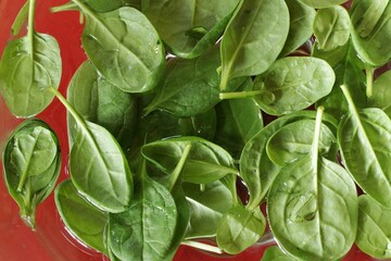 spinach leaves