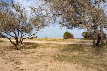 Car on the sandy shore of the sea of Azov with trees around. holidays, vacations