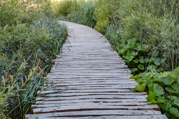 Wooden bridge footpath over a small lake with bulrush in The Plitvice Lakes National Park in Croatia Europe.