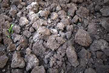 soil in the ground